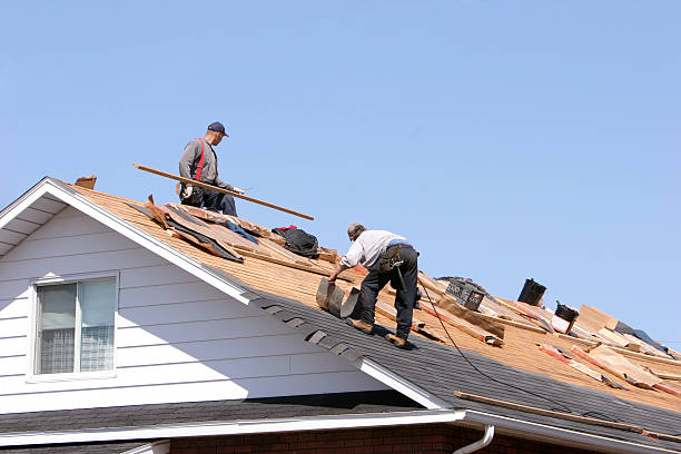 Best Green or Eco-Friendly Roofing Solutions  in Martinez, GA